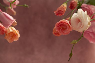 Yatay kartpostal davetiyesi boş, mesaj için yer var. Pembe ve kremalı Eustoma çiçekleri soluk pembe arka grubunda