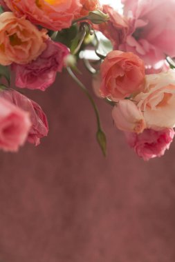 Bir buket Eustoma çiçeği arka planda pembe bir arkaplan ve nazik bir haz