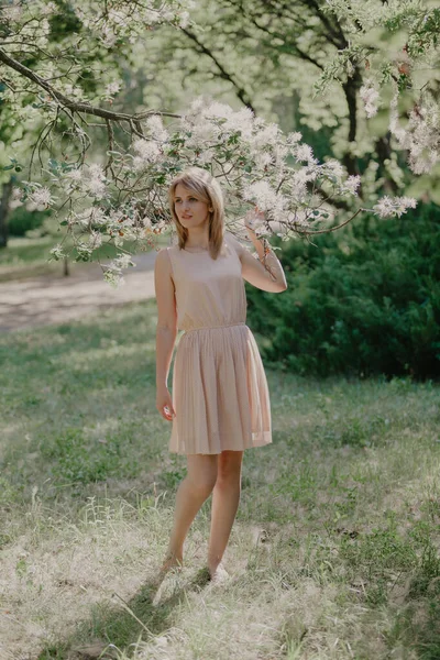 ヴェネツィアの夏の花の木の近くの夏の庭の若い女性夏は美しい光のドレスで草の上に裸足で立つ — ストック写真