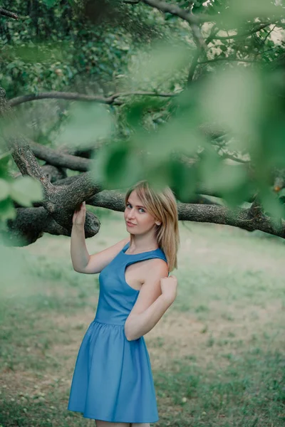 Rubia Delante Árbol Linda Chica Aferrándose Una Rama Árbol Verano — Foto de Stock