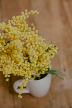 Bir fincanda bahar. Sarı mimozanın dalı tahta tahtada beyaz bir fincanda duruyor.