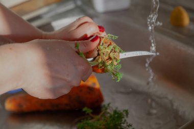 Bıçaklı el, geçen seneki havuçların filizlerini kesiyor.