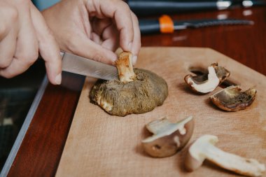 Toplanan mantarların incelenmesi. Tahta bir yaban domuzunun üstünde yenebilir mantar kesen bir adamın elleri.