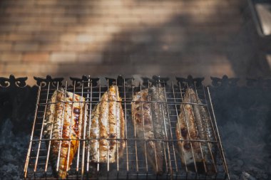 Izgara balık. Çelik ızgaralı dört uskumru ızgarada beyaz kömürlerin üzerinde hazır.