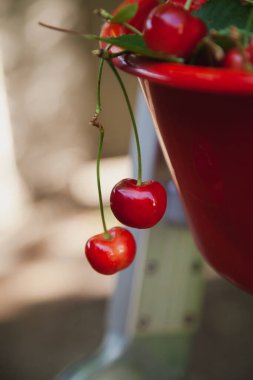 İştah açıcı natürmort. Olgun, kırmızı, tatlı kiraz bir plastik kovanın kenarında asılı duruyor.