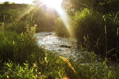 sabah güneş ışınları Nehri