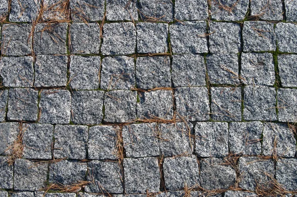 Granite blocks pavement in grid layout. Pine needles scattered around