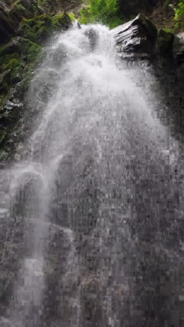 Cachoeira Rio Vegetação Verde Musgo Europa Ucrânia Montanhas Cárpatas Vídeo — Vídeo de Stock