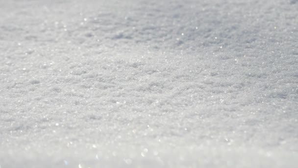 室外洁白的雪 冬日阳光灿烂 穿衣射击 从左到右相机动作缓慢 — 图库视频影像