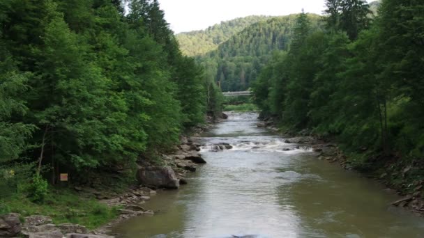 Der Prut Fluss Den Osteuropäischen Karpaten Von Einer Brücke Yaremche — Stockvideo