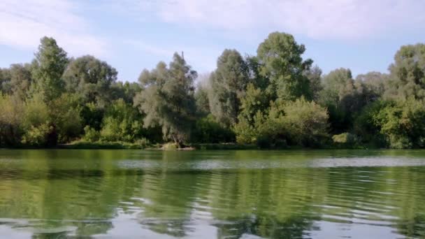 Floresta Cena Lago Vento Sopra Folhas Árvores Ondas Água Dia — Vídeo de Stock