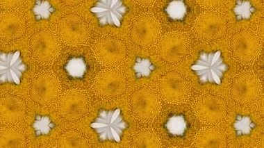 Gerbera çiçeklerinin 4k kaleydoskop arka planı makro, parlak beyaz, sarı ve turuncu renkler. Doğal çiçek geçmişi var. Uzaklaştırma hareketi