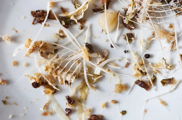 Dry Fish Bones Other Parts Meal White Plate Macro Shot — Stock Photo, Image