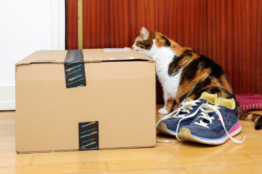 Meraklı kedi Amazon Prime teftiş önden görünümü 