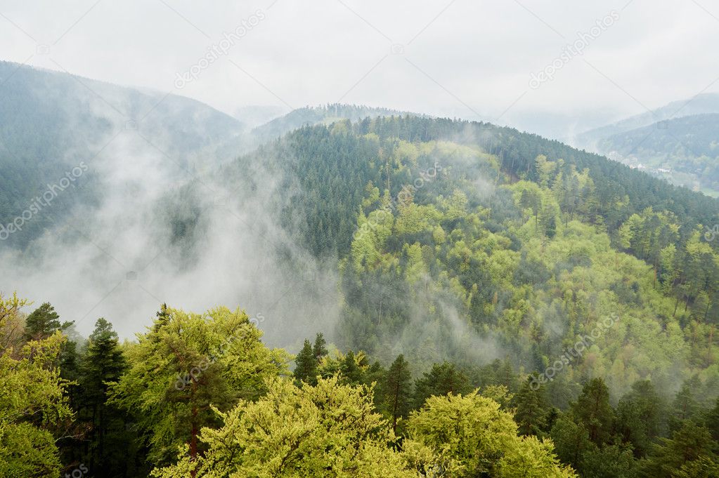 mist, mountains, forest seen from above