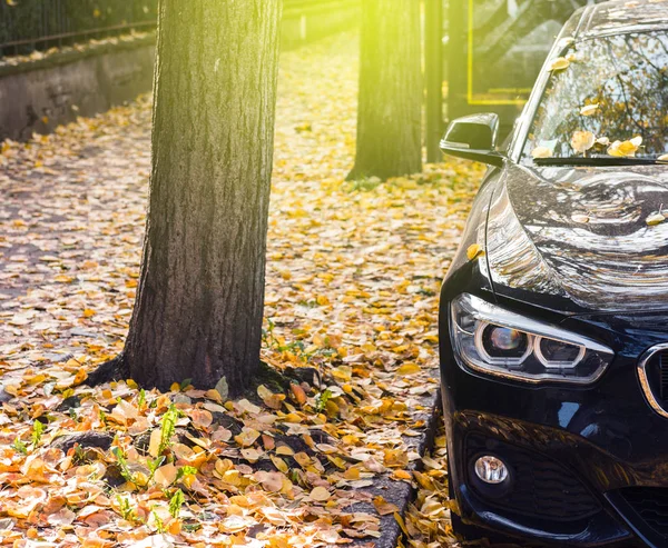 BMW-Chef parkt in der Herbststadt — Stockfoto