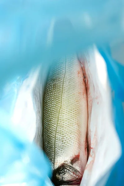 Pesce di mare eviscerato fresco nella borsa del mercato — Foto Stock