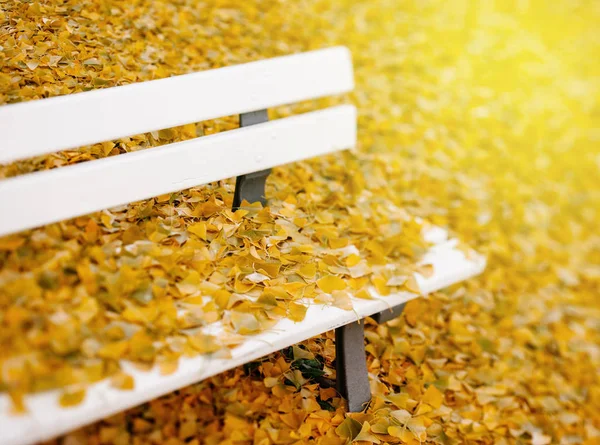 Feuilles d'automne sur banc de parc — Photo