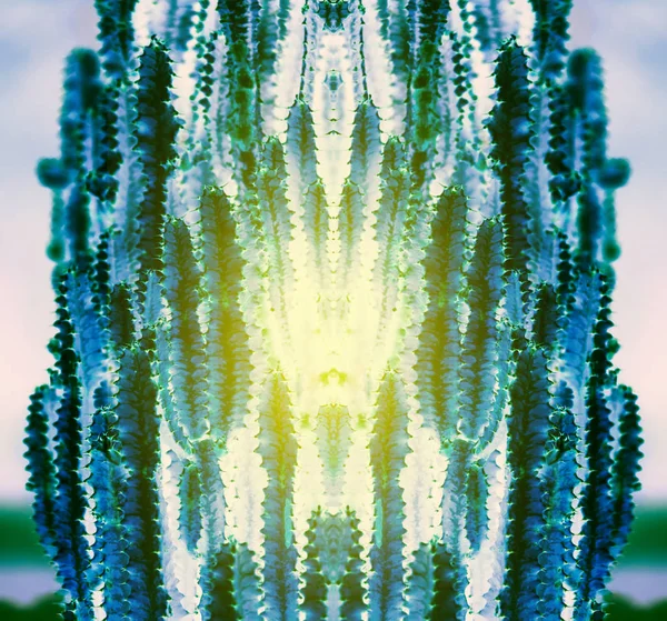 Abstract cactus with illuminated heart — Stock Photo, Image