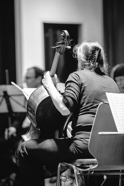 Vista trasera del violoncelista preparándose para la interpretación —  Fotos de Stock