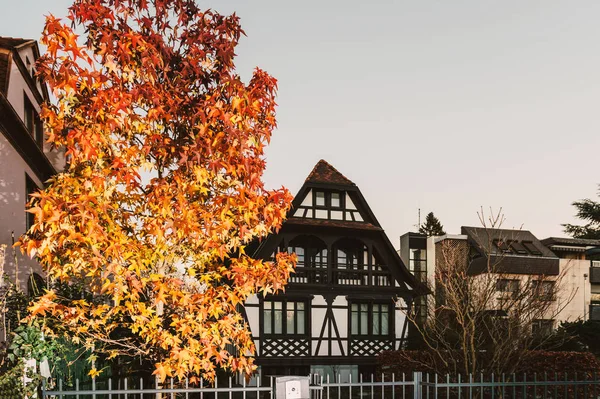 Kırmızı Sarı akçaağaç ağaç ile güzel ahşap ev 