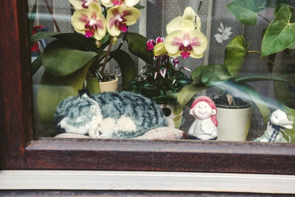 Cat toy decorating the window of a house