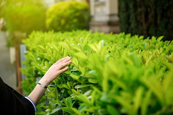 Zen Frau zu Fuß auf einer Straße sanft berühren die grünen Büsche — Stockfoto