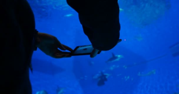 女性は大きな水族館の携帯電話のスマートフォンで写真を撮る — ストック動画