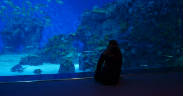 コペンハーゲン カストラップ デンマーク 2016 訪問者称賛大きな青い水槽青い惑星 Den Bla 北欧のデンマーク国立水族館水族館の前で楽しんで — ストック動画