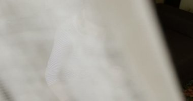 Laptop evde modern ortamında çalışma--dan ev, teleworking, serbest meslek - lüks modern koltukta oturan - çalışan kadın