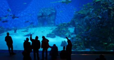 Kopenhag Kastrup Danimarka - 2016 yaklaşık: Ziyaretçi hayran büyük mavi akvaryum Mavi gezegen Den Bla Planet - Danimarka Ulusal akvaryum akvaryum Kuzey Avrupa'nın önünde eğleniyor