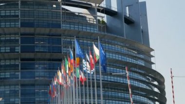 Avrupa Parlamentosu önünde sallayarak bayrakları 