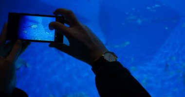 Kopenhag Kastrup Danimarka - 2016 yaklaşık: Ziyaretçi hayran büyük mavi akvaryum Mavi gezegen Den Bla Planet - Danimarka Ulusal akvaryum akvaryum Kuzey Avrupa'nın önünde eğleniyor