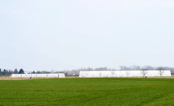 Парниковий поблизу французького села на початку весни — стокове фото
