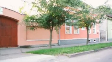Korkunç orman yoluyla sürüş Pov