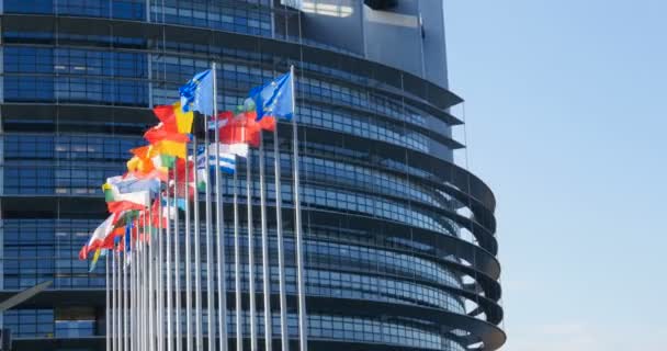 Vlaggen zwaaien voor het EuropeesParlement — Stockvideo