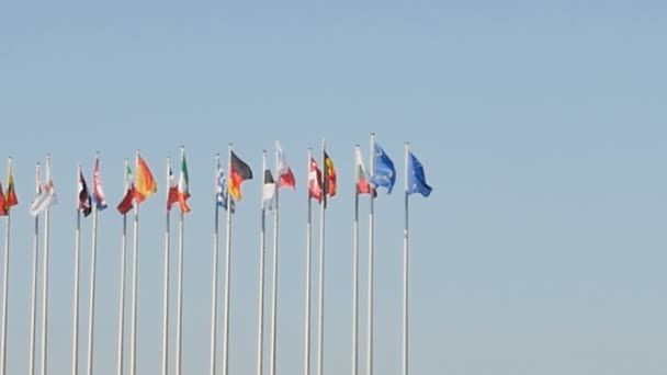 Close Flags Blue Sky Background — Stock Video