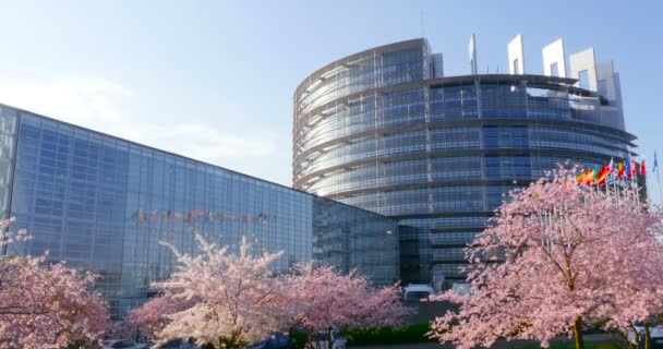 Parlamento Europeu em Estrasburgo — Vídeo de Stock