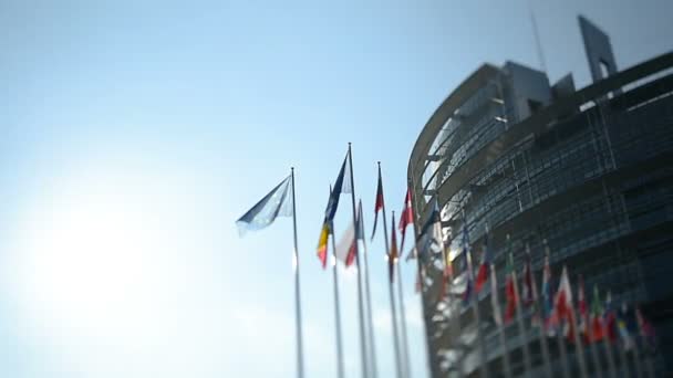 Flags waving in front of the European Parliament — Stock Video