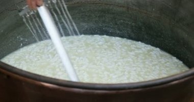 Peynir karıştıran erkek el - küçük aile kreması işleme - bir peynir yığını yapmanın ilk adımı. Mandıra çiftliği bufalo yoğurdu, mozzarella ve yoğurt peyniri üretiminde uzmanlaşmış..