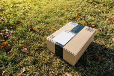 Amazon kutusunda Bahçe çim
