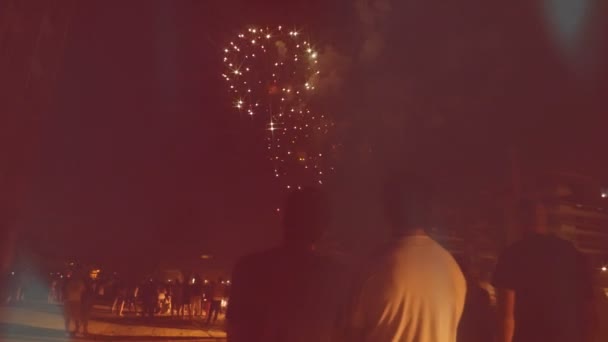 Multidão admirando fogos de artifício — Vídeo de Stock