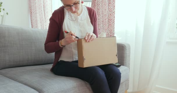 Blogueiro feminino desempacotando caixa de papelão — Vídeo de Stock