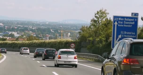 Drivande Pov genom skrämmande skog — Stockvideo