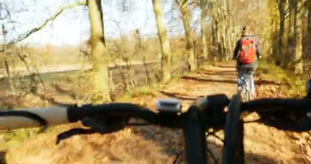 Herbstliche Fahrradtour Persönliche Sicht Des Fahrrads Einer Frau Die Gelben — Stockvideo