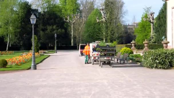 Trädgårdsmästare arbetar i parken — Stockvideo