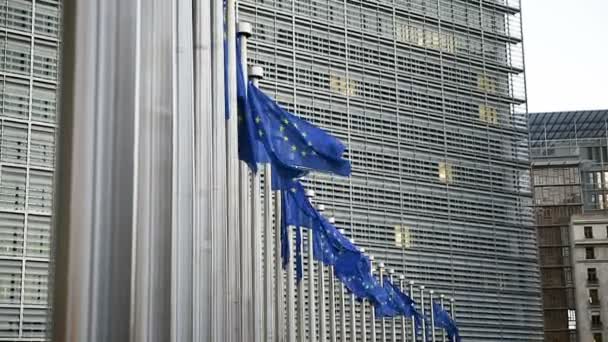 Close Europe Flags Front European Parliament Building — Stock Video