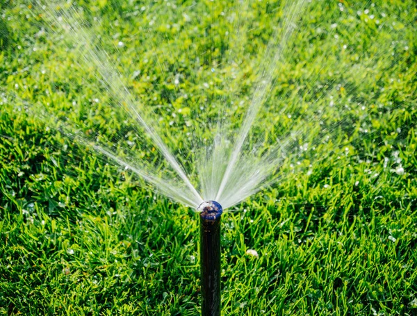 Tuin water sprinkler — Stockfoto