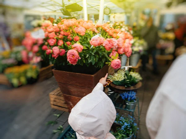 Chica joven tirando peonías en floristería —  Fotos de Stock