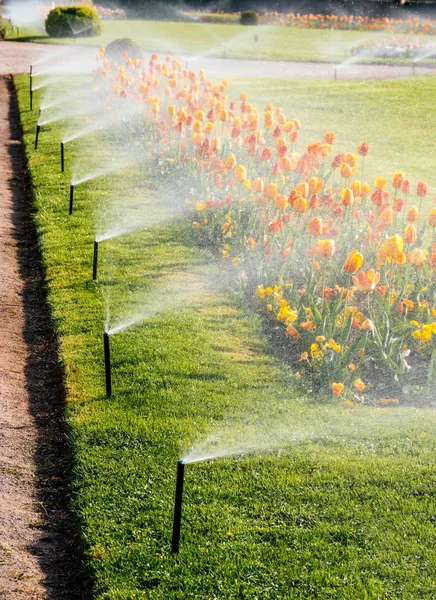 Jardim inteligente parque de luxo com sistema automático de irrigação por aspersão — Fotografia de Stock